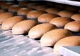 Дефіцит хліба в Харківській області: вже цього сезону може виникнути значна проблема